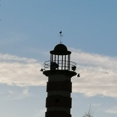 Francis41415000's profile picture. 