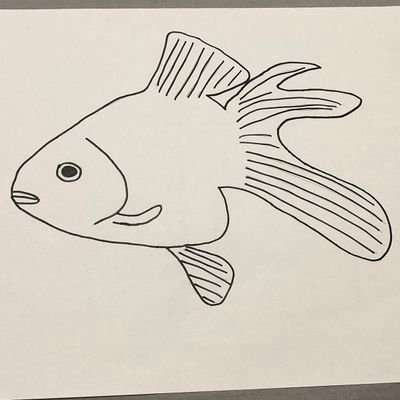 金魚さんのプロフィール画像