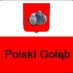 Polish Pigeon (@pigeonpolish) Twitter profile photo Polish Pigeon (@pigeonpolish) Twitter profile photo