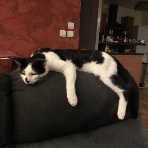 GuiPirou's profile picture. Prof d’histoire-géo. Je m'intéresse à tout.  
❤️ humanisme et démocratie
😠 dogmatismes et contre-vérités
Apprécie l’honnêteté intellectuelle
🇨🇵 🇺🇦 🇵🇸