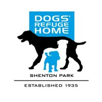 Dogs' Refuge Home(@DogsRefugeHome) 's Twitter Profile Photo