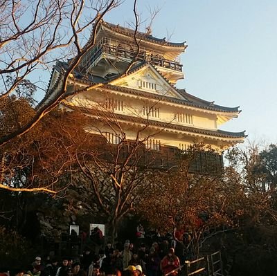 城、仏像、棟方志功が好きです。城めぐりしながら、ラーメンを食べ歩きします♪
古代寺院、山岳寺院に興味あり
岐阜県