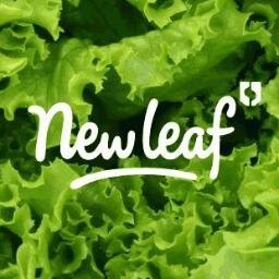 Sheffield Student Union’s salad bar, offering a variety of salads, wraps and hot pots.

Instagram: @newleafssu
Facebook: @newleafsheffield