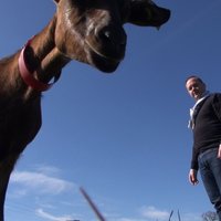 Hugues Caillat (@hcaillat) 's Twitter Profile Photo