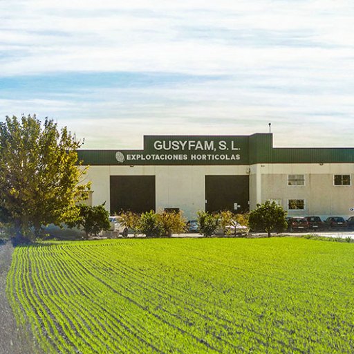 GUSYFAM nace en el año 2000 continuando la tradición familiar, siendo la tercera generación dedicada a la producción y comercialización agrícola desde 1968.