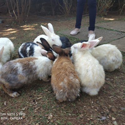 ktrix09's profile picture. Loves Travelling, care for the environment, Hotelier, meditation #saynotoplastic Proud Hindu 🕉