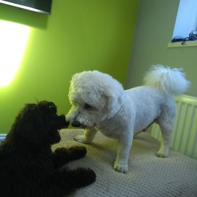 keithdahacker's profile picture. Retired, sick of all PC rubbish and hypocritical politicians. Brexiteer. Make Britain Great Again. DM,s not replied to.