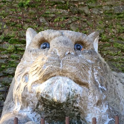 冷やし靴下さんのプロフィール画像