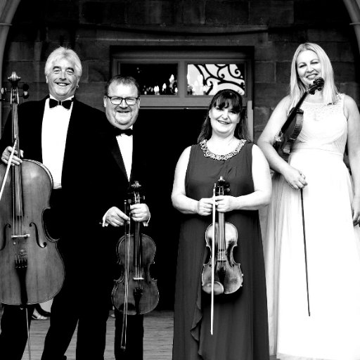 Professional and affordable string quartet, playing music for all occasions from Bach to the Beatles and so much more!