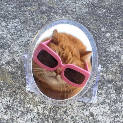 itegitimi's profile picture. 