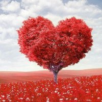 سالب الاحساء (@4nzphyn6vud4tvw) 's Twitter Profile Photo