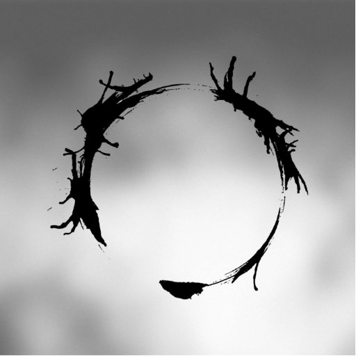 szafer1006's profile picture. 