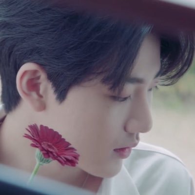 เจ้าจุนกยูแก้มก้อนเป็นโคอาล่าชอบนอน ꒰◍ᐡᐤᐡ◍꒱♡ — น้องจะเป็นแงวชิค 🐈🤍 with whiteshoesboyz-og A | fan account