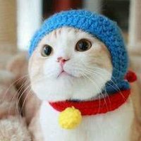 けんけん (@kenkappa) Twitter profile photo