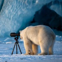 Gualunas (@gualunas) 's Twitter Profile Photo