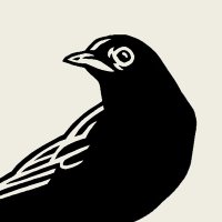 John Vogl (@notjohnvogl) 's Twitter Profile
