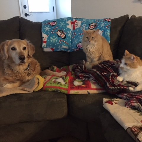 EmMorris2's profile picture. Child of God. Pet mama. Sister. Daughter. Auntie. Friend. Lover of learning. 4th grade teacher.🥰