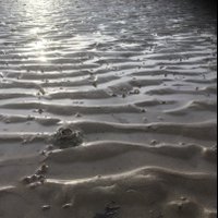 David (@dstephensen68) 's Twitter Profile