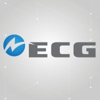 ECG (@ecgservices) 's Twitter Profile