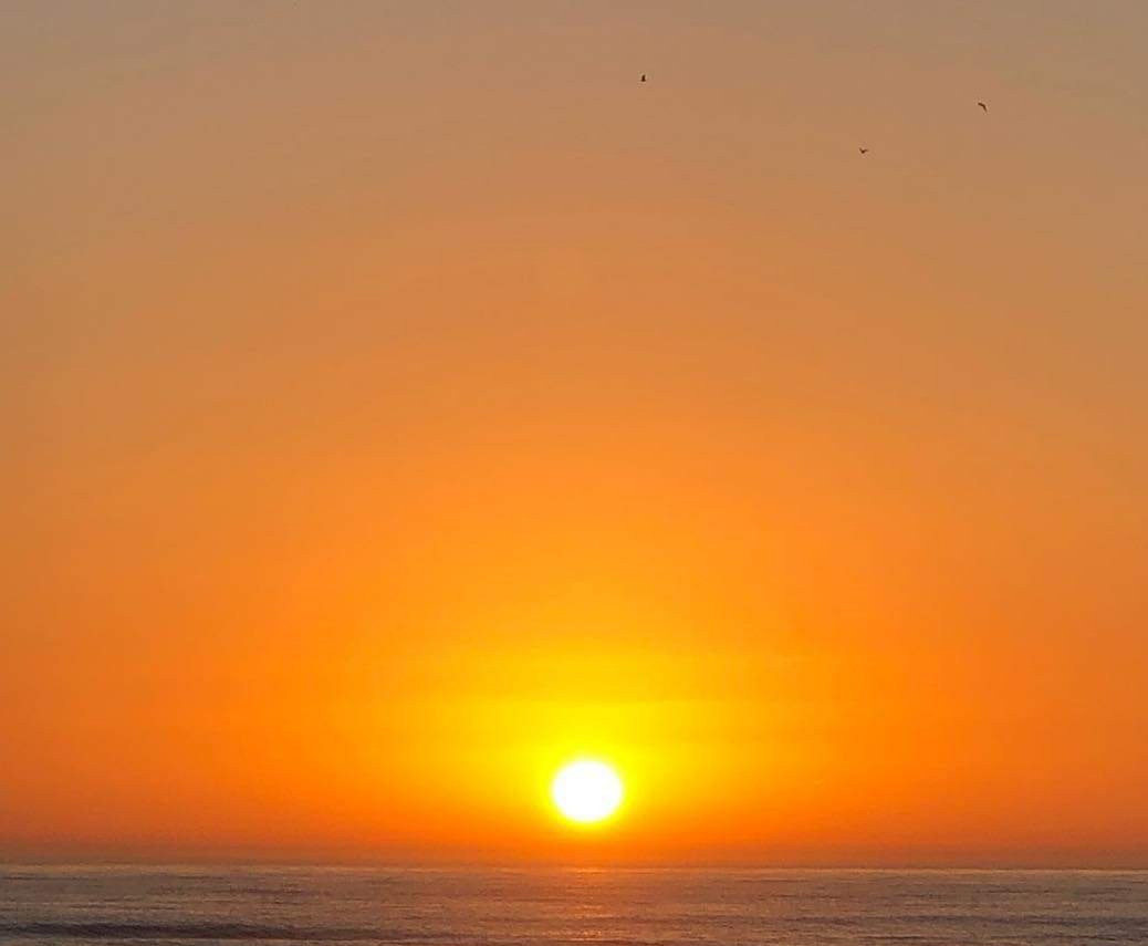 Love walking my dog on the beach and watching the sunrise. Love Florida weather especially when everyone is cold. 😁