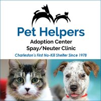 Pet Helpers (@pethelpers) 's Twitter Profile