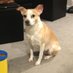 Teddy’s 🌈 Mom and Billy (@teddysmom8) Twitter profile photo Teddy’s 🌈 Mom and Billy (@teddysmom8) Twitter profile photo