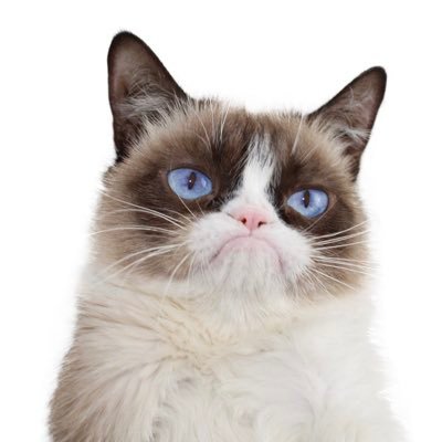 Official Twitter for The World's grumpiest cat! #TeamGrumpy #GrumpyCatForever https://t.co/sOAkg6xsPT https://t.co/tBMEklFlMt…