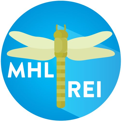 MhlRei's profile picture. 