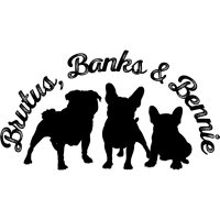 Brutus, Banks & Bennie(@BrutusandBanks) 's Twitter Profile Photo