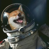Dylan Tallchief (@dylantallchief) 's Twitter Profile Photo Dylan Tallchief (@dylantallchief) 's Twitter Profile Photo