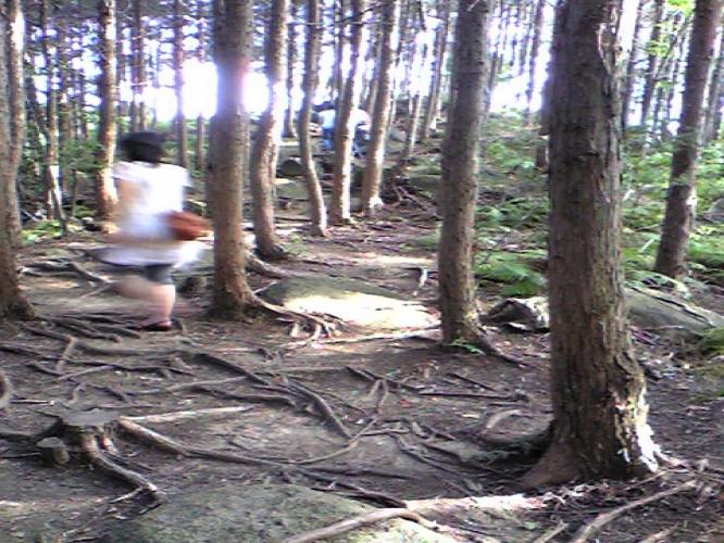 桃と晴れの国、岡山県出身。どんどん東に来てます。ひょっとしたらもうすぐぐるっと地球を回っちゃうかも。その前に目が。言葉と詞と詩と歌が好き。世界のカイシャクをつづることにします。さて、いつまでつづくことやら。