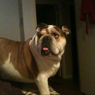 superstrow's profile picture. 