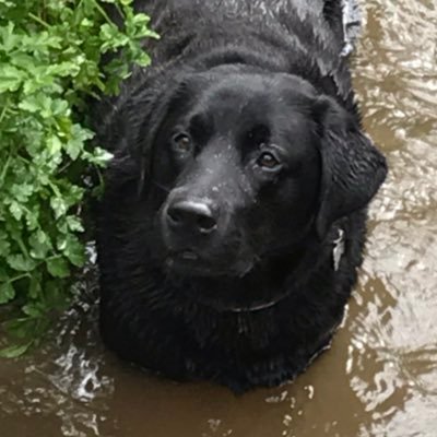 GP W Cornwall, Husband, Dad, Penlee Lifeboat Dr,Passionate about improving care for all.Supporting veterans. Cold water swimmer. Who Cares Wins Best Doctor 2019