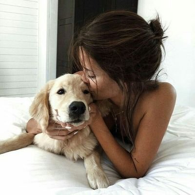 Vickytta3's profile picture. Casi latina. ®️🅰️®️🅰️
*No compres adoptá🐶