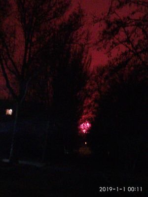 Tatid84766712's profile picture. 