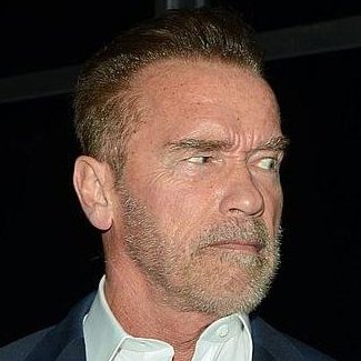 TheArnoldFans Profile Picture