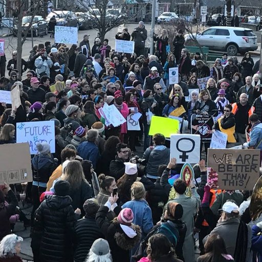 Providing a safe and accepting platform for supporters of equality to rally for civil rights for every human. Join us 1/20/18 @ 11am