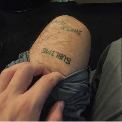 fidlarsublime's profile picture. People that doesn't like Sublime are either lying or don't like to feel good
-Zac Carper