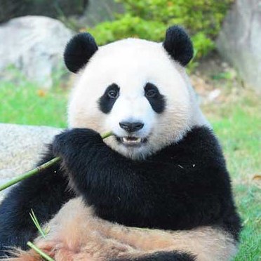 kouji_kouji42's profile picture. 