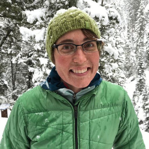 Earth's ice, climate (ACTION), #scicomm. Scientist @NSIDC, CIRES, Univ. Colorado Boulder. Find me now at https://t.co/TIdicwDkRQ (she/her)