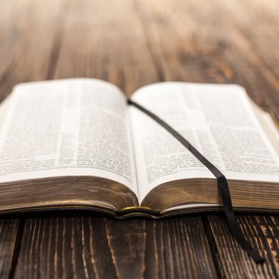 znL8q52SCJYLfk5's profile picture. This here is the spread of the Word.