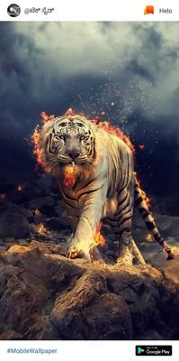 Skanda10319844's profile picture. 