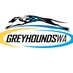 Greyhounds WA (@greyhounds_wa) Twitter profile photo Greyhounds WA (@greyhounds_wa) Twitter profile photo