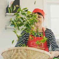 The Scottish Tea Factory (@scotteafactory) 's Twitter Profile