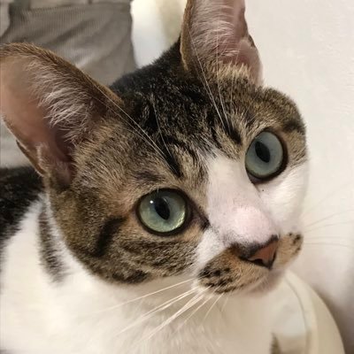 暁さんのプロフィール画像