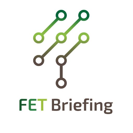 FET Briefing is an EU initiative supporting FET/EIC Pathfinder projects in their path to innovation. Join our free trainings, workshops and matchmaking events