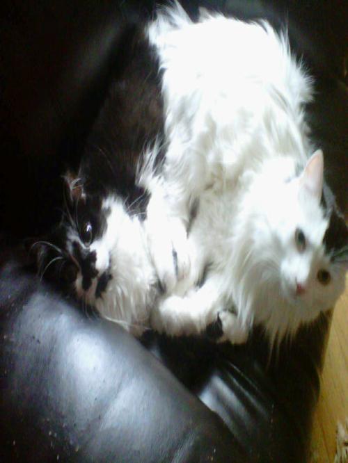 ana15cristina's profile picture. 