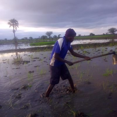 michaelkanyaga's profile picture. Jesus is everything in my life