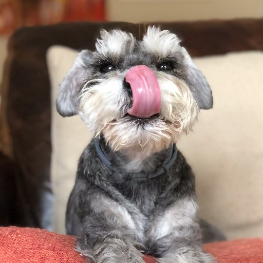 Digital marketing expert, with a passion for content, social, mobile and email marketing. Owner of 2 miniature schnauzers and a lover of travel.