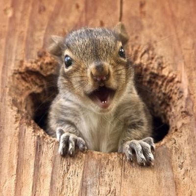 jahwillreturn's profile picture. Winter is coming my friends.